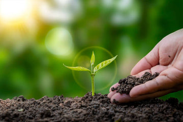 Organic Plant Fertilizer: Nurturing Nature with Karudaa Coirs