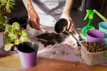 How To Maintain Your Home Garden