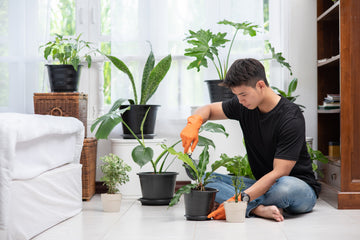 Potting soil