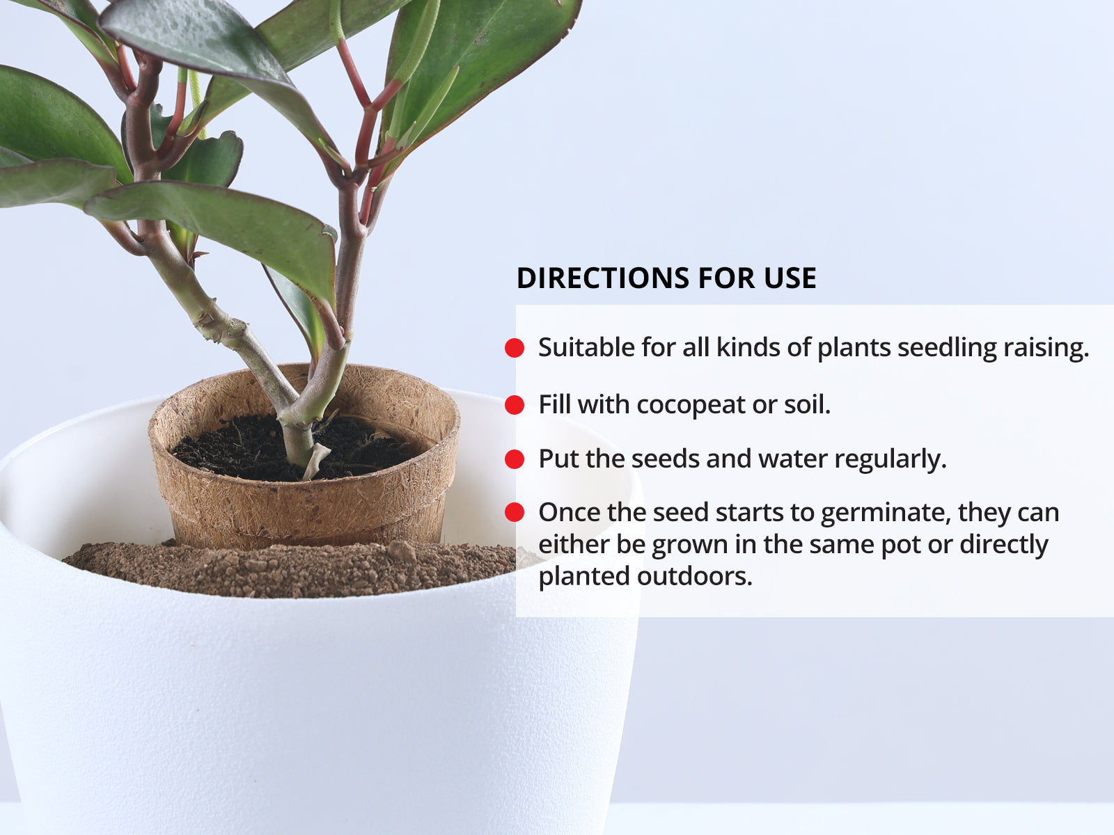 Coir Seedling Pots