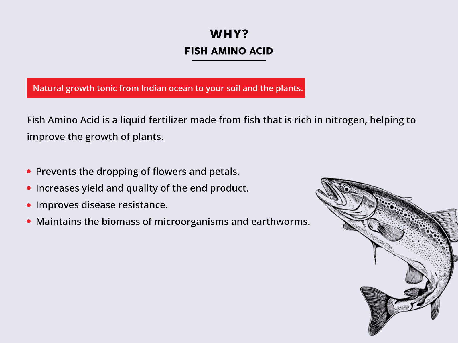 Fish Amino Acid