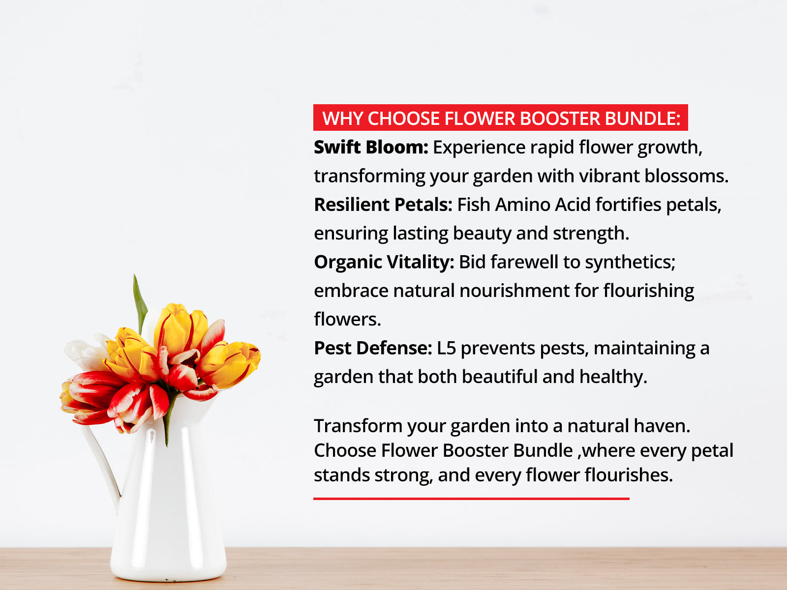 Indoor plant fertilizer