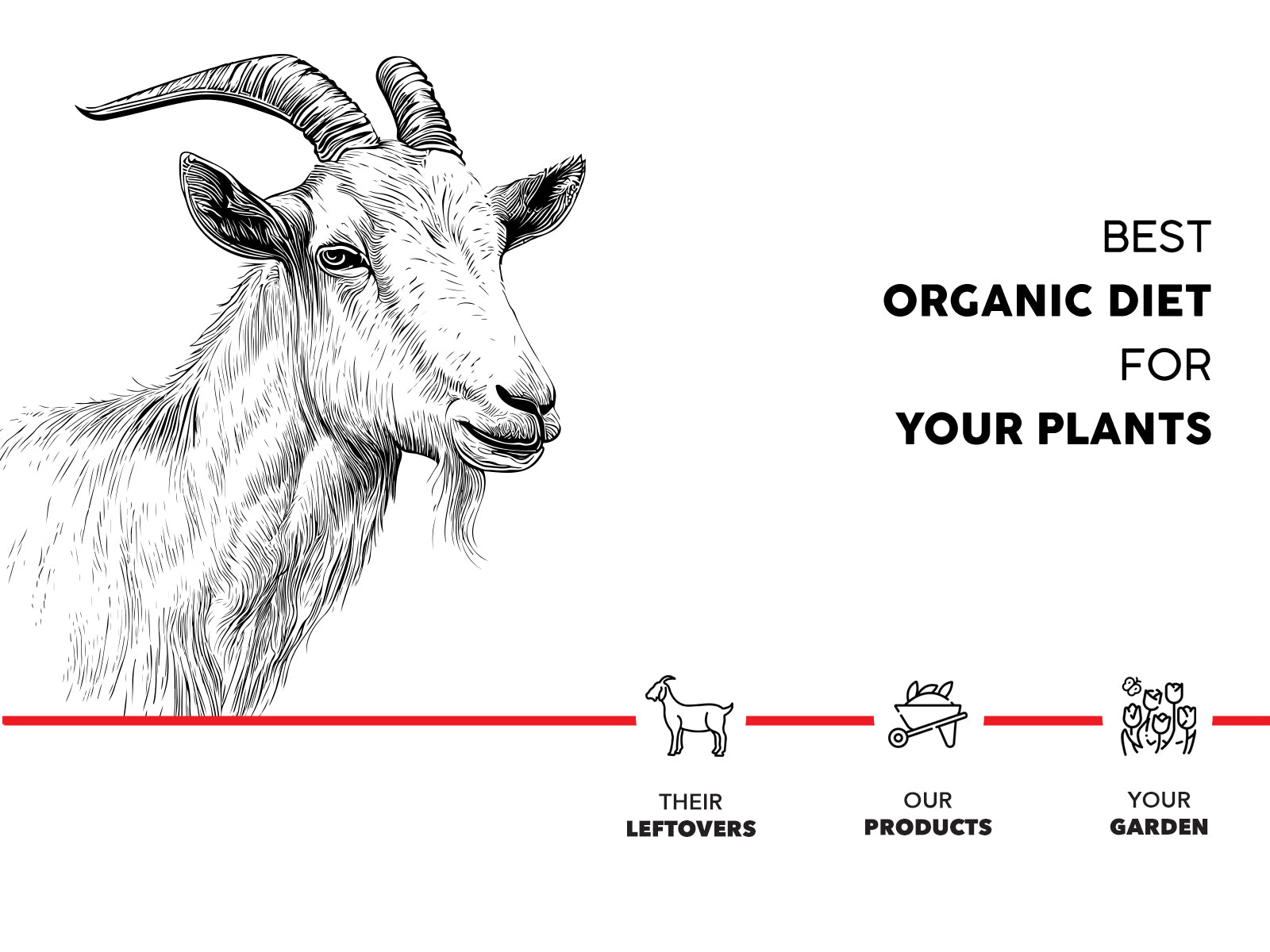 Desi Goat Manure ferilizer