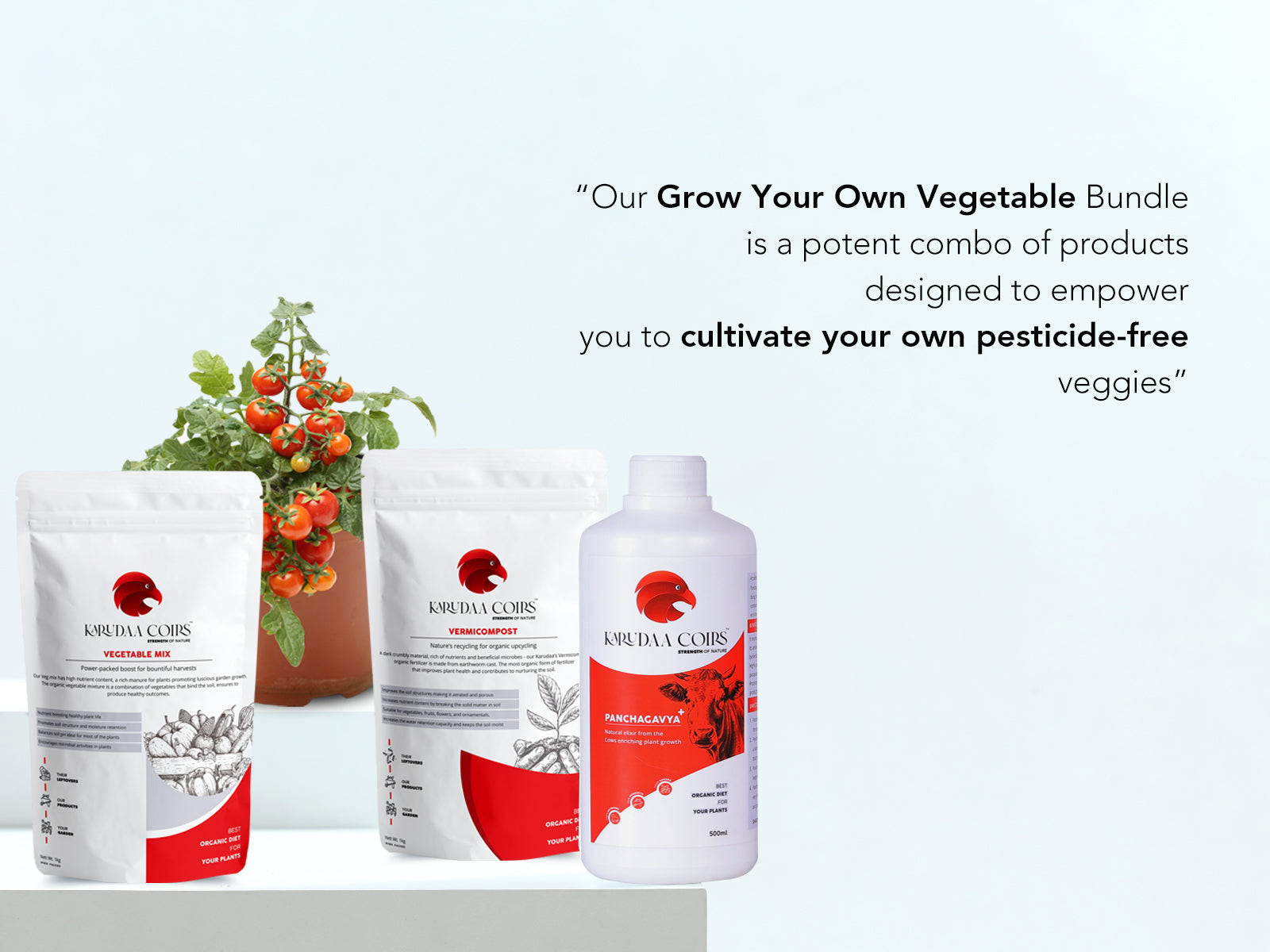Best organic plant fertilizer