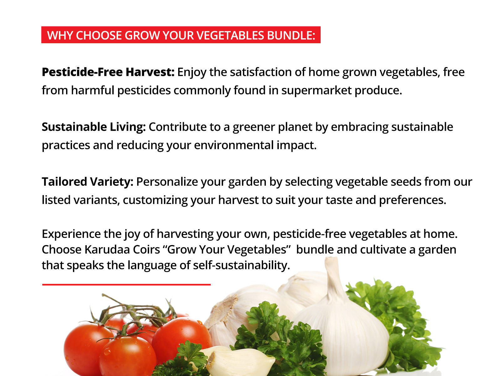 Best organic plant fertilizer