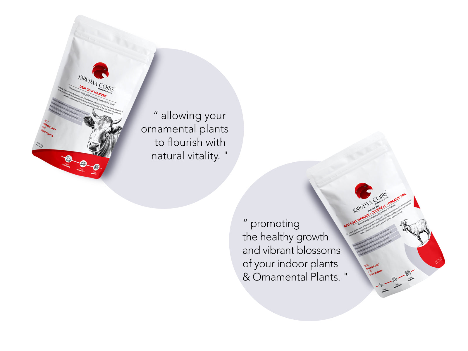 Organic fertilizer for plants