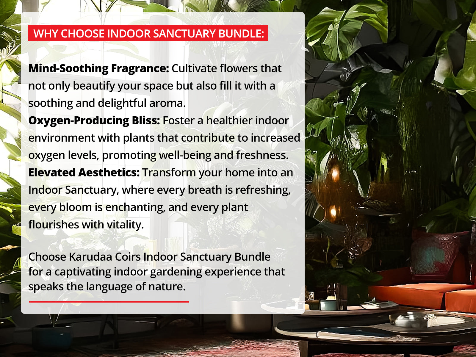 Organic fertilizer for plants