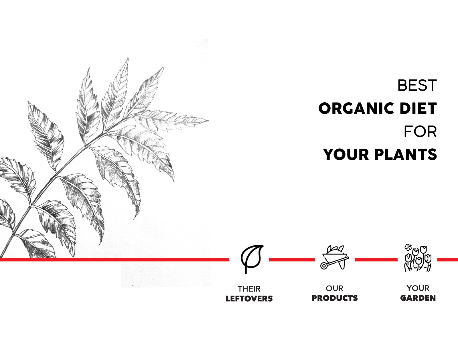 Organic Neem Powder Fertilizer
