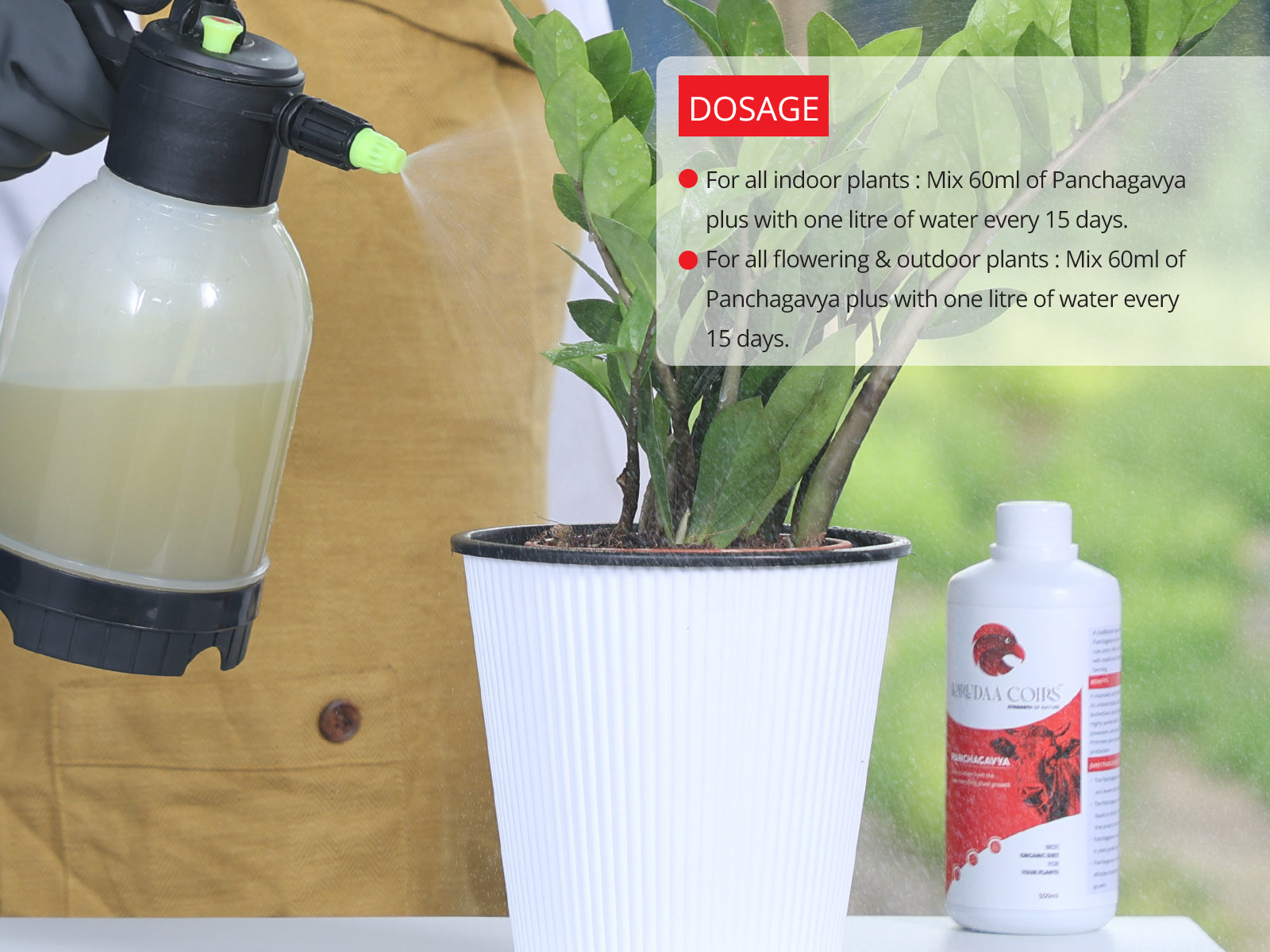 Panchagavya Plus plant care tonics
