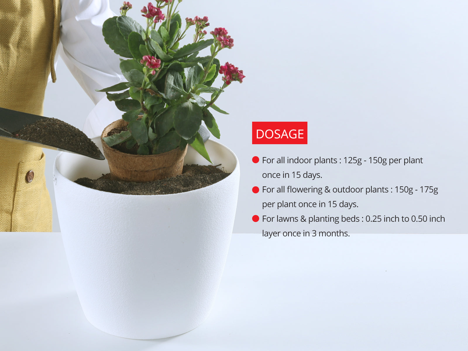 Premium plant fertilizer - Vegetable mix