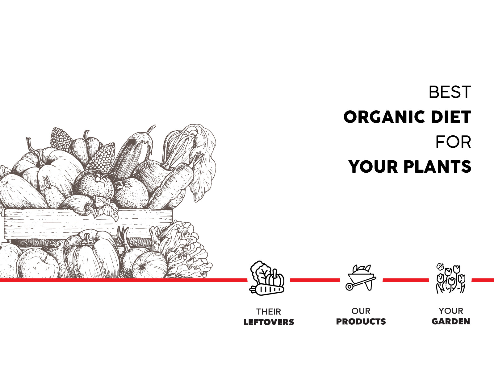 Premium plant fertilizer - Vegetable mix