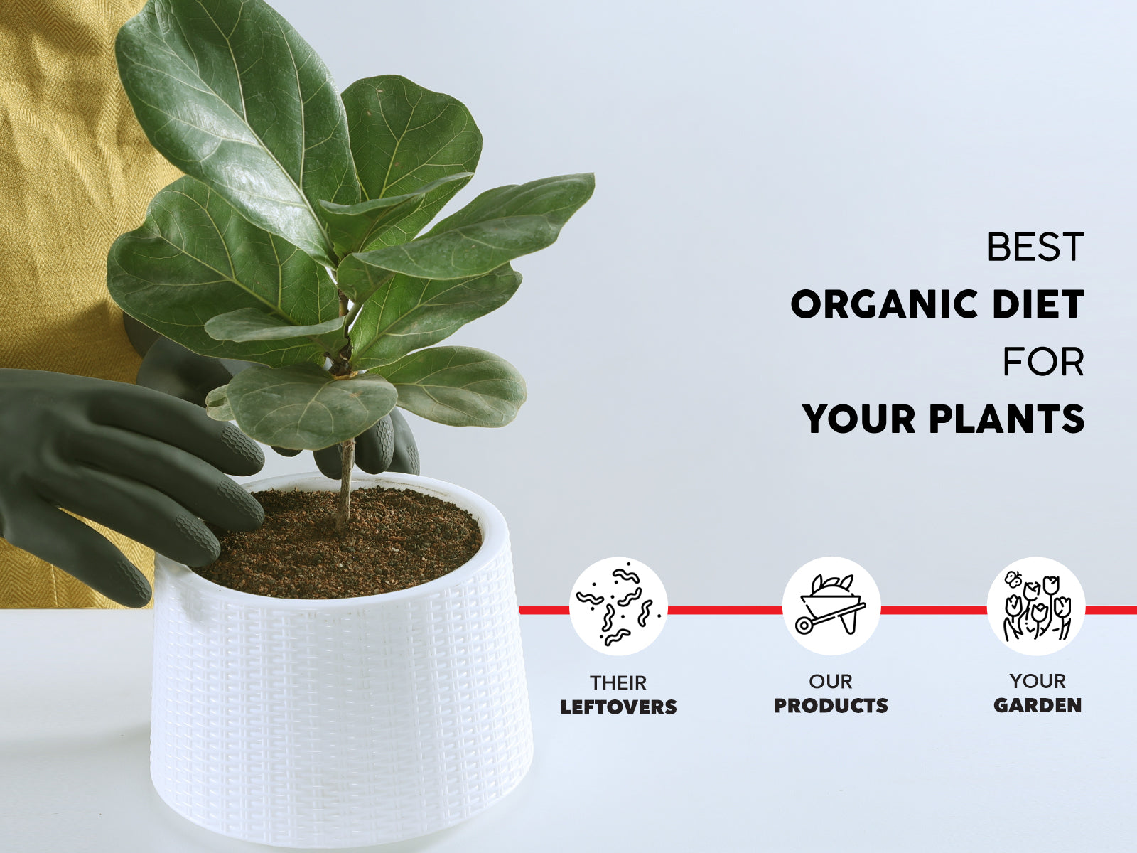 Potting mix for indoor plants - Vermicompost + Cocopeat + Organic Soil