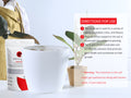 Boost Plant Growth with Vermicompost