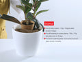 Boost Plant Growth with Vermicompost