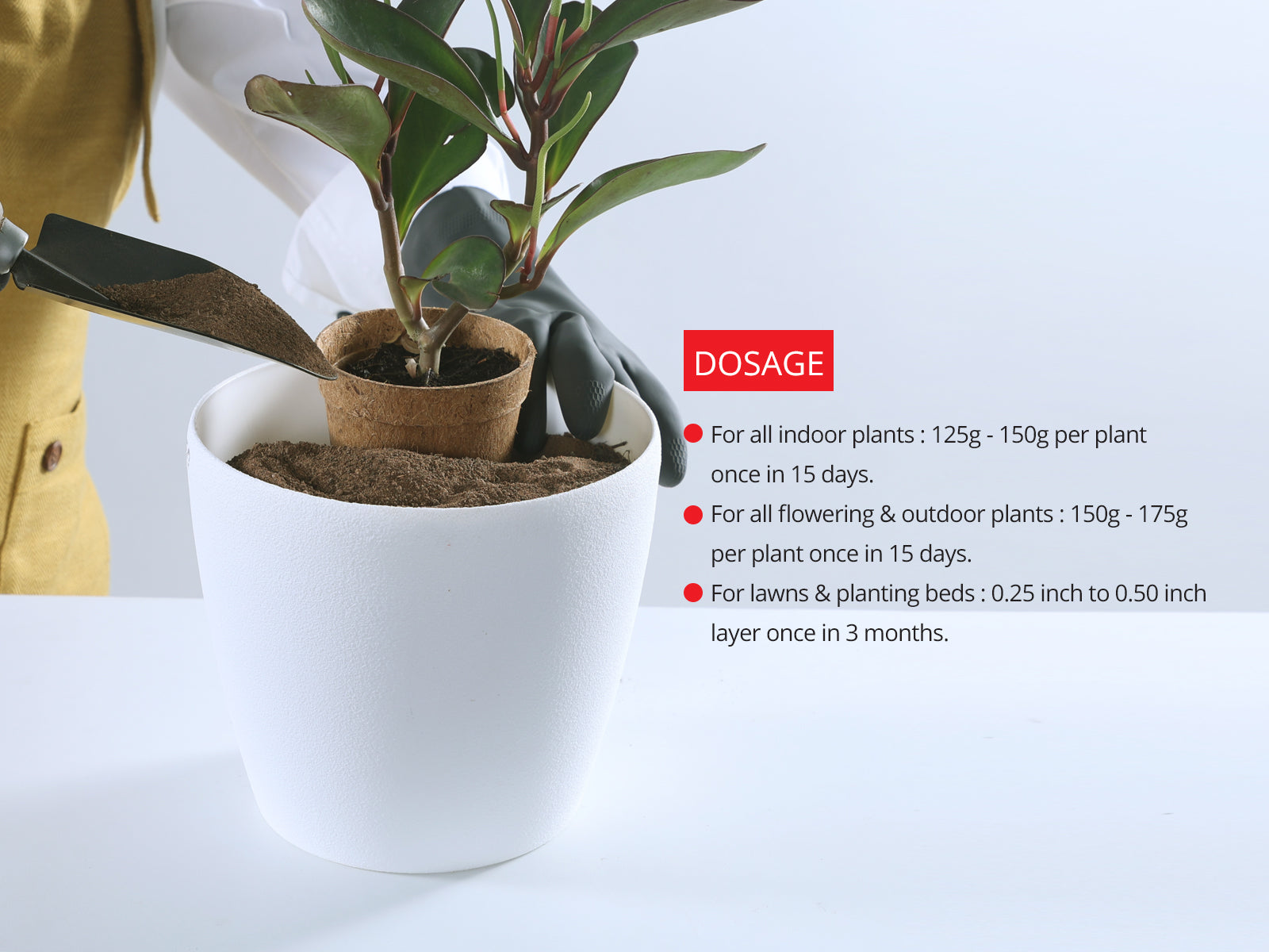 Boost Plant Growth with Vermicompost