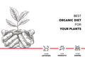 Boost Plant Growth with Vermicompost