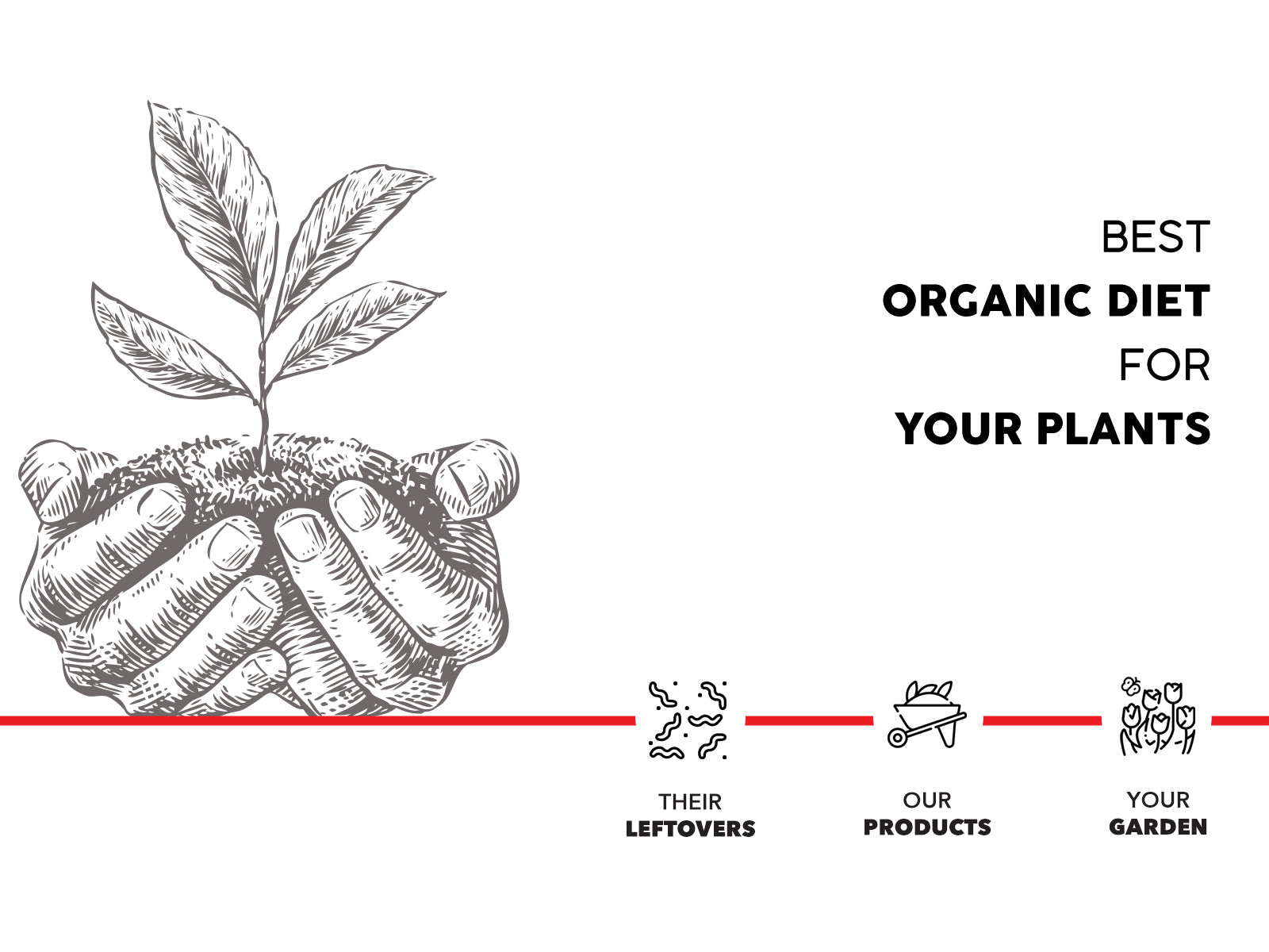 Boost Plant Growth with Vermicompost