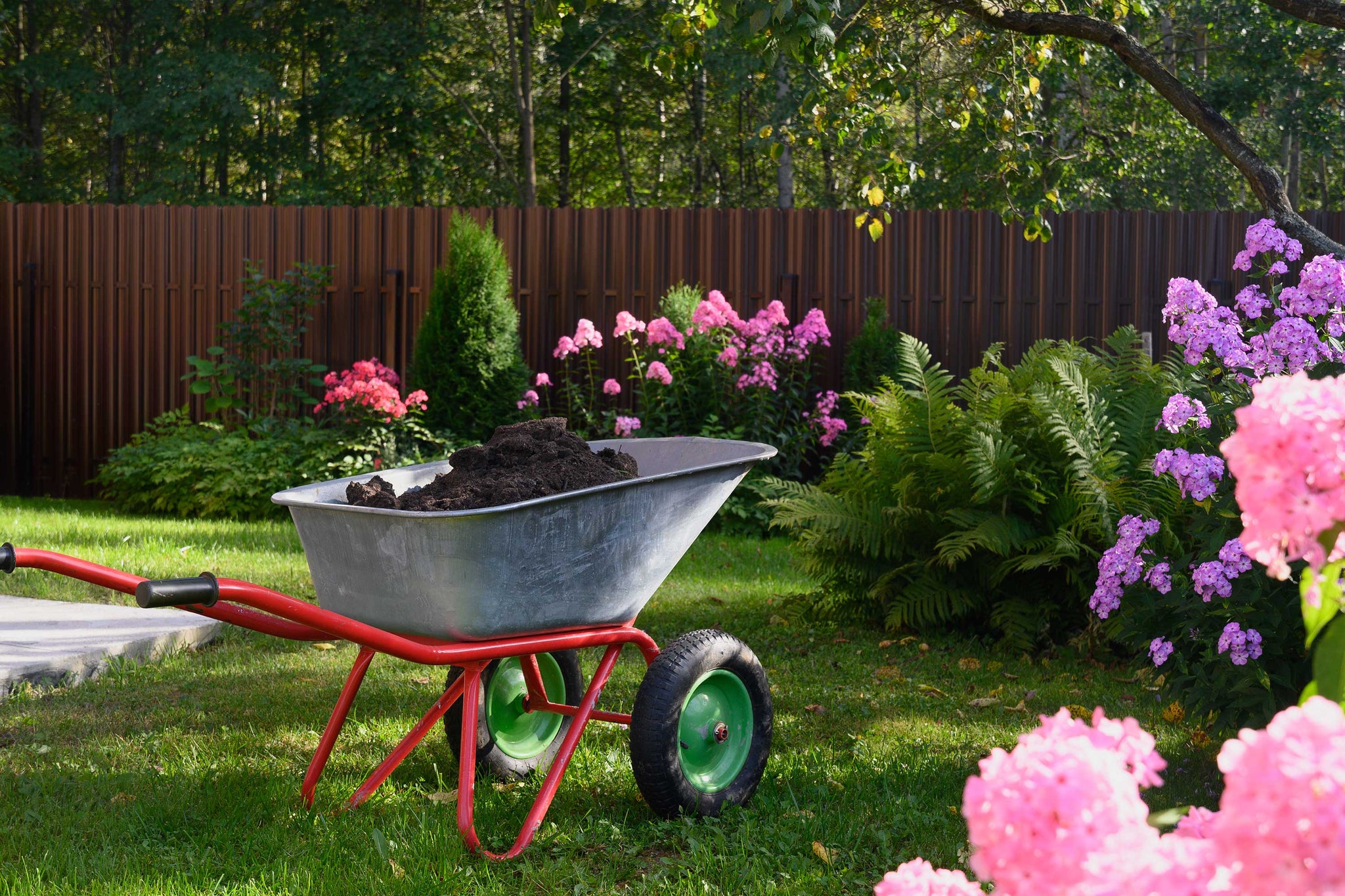 Why Should You Add Manure To Your Plants Right Now?