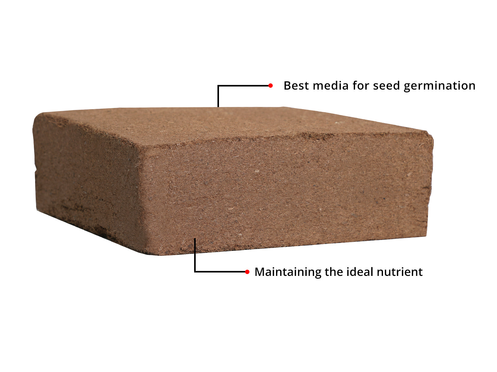 Cocopeat