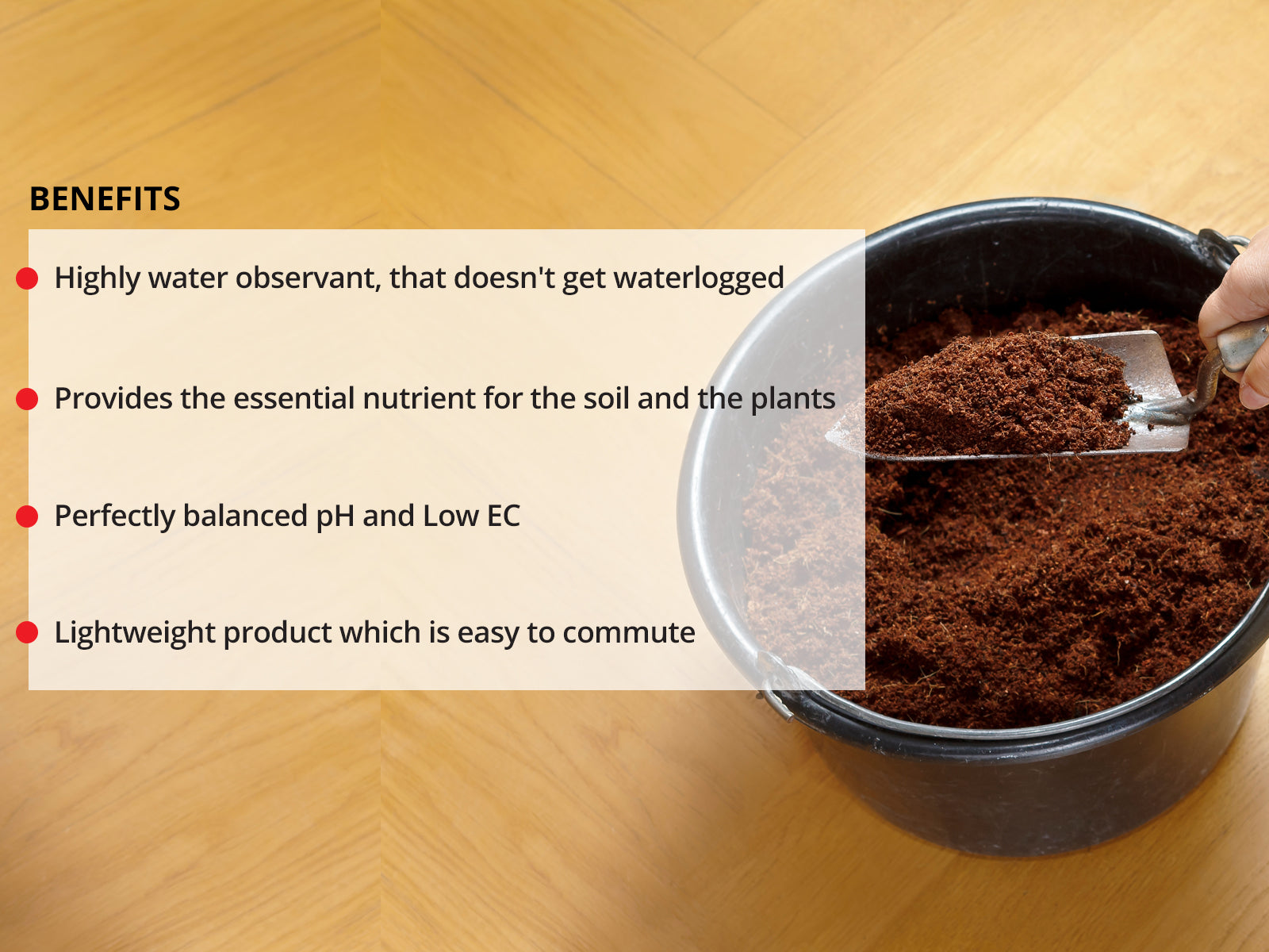 Cocopeat for plants