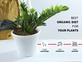Potting mix for indoor plants