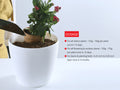Organic Neem Powder Fertilizer