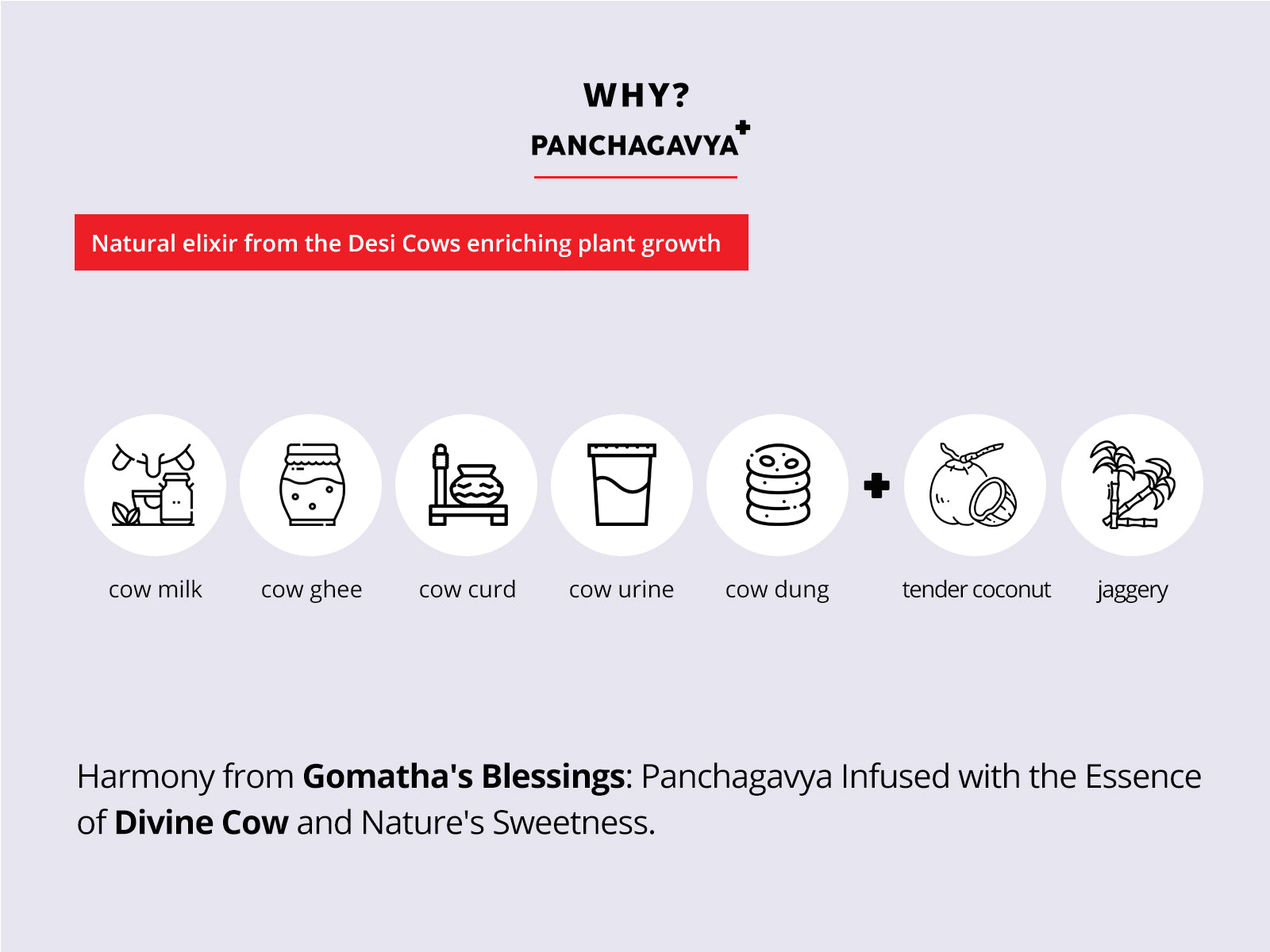Panchagavya Plus plant care tonics